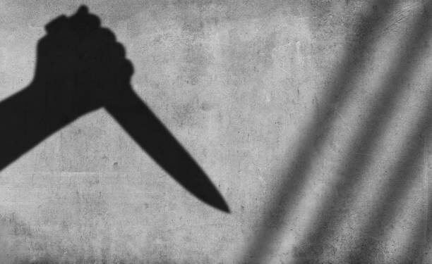 राज्यात सैराट हत्याकांड; जावयाला कोयता आणि चॉपरने वार करून संपवलं