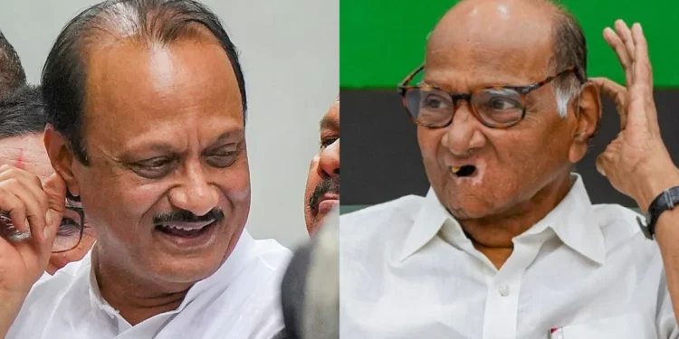 कृषिक प्रदर्शनाच्या निमित्ताने शरद पवार आणि अजित पवार उद्या येणार एकाच मंचावर