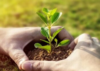 मुंबईमध्ये ४ एकर भूखंडावर वृक्षारोपणाचा प्रस्ताव प्रशासनाकडे सादर