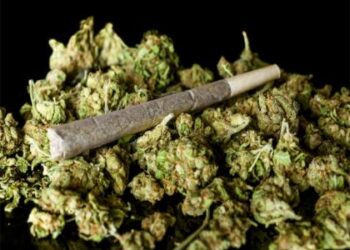 तडीपार गुन्हेगाराकडून नऊ किलो गांजा जप्त