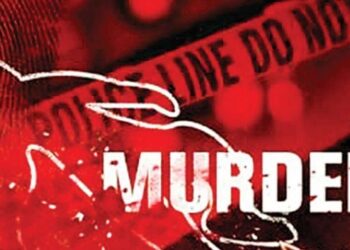 आईने केला आपल्याच जुळ्या मुलांचा खून ..