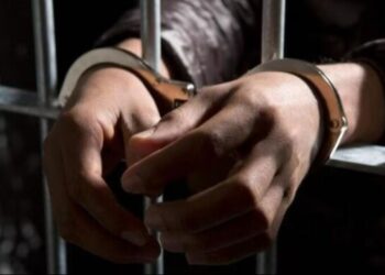 कल्याण, डोंबिवली रेल्वे स्थानकात लोकलमध्ये महिला प्रवाशांचे सोन्याचा ऐवज लुटणाऱ्या महिलेला पकडण्यात पोलिसांना आले यश ..