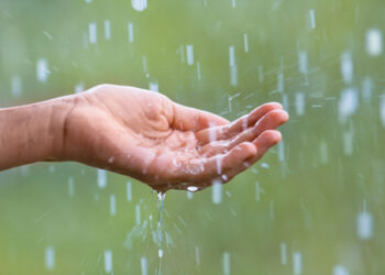 राज्यात पुन्हा पावसाचे संकट निर्माण; पुढील चार दिवस हलक्या पावसाची शक्यता