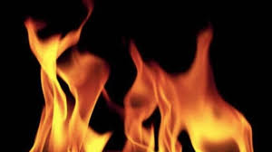 वरळीमध्ये गोदामाला भीषण आग, आगीमुळे मोठे नुकसान