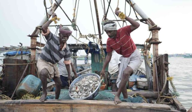 मच्छीमारांचा अखेरच्या खेपा रद्द, वादळी वाऱ्याच्या स्थितीमुळे बोटी किनाऱ्यावरच