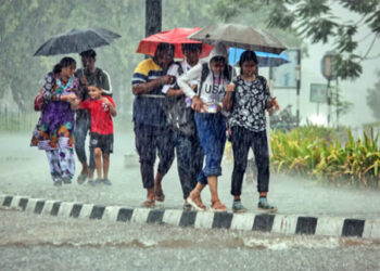 मुंबईसह ठाण्यात जोरदार वाऱ्यांसह पावसाचा अंदाज, वृक्ष रिक्षावर कोसळल्याने प्रवाशाचा मृत्यू