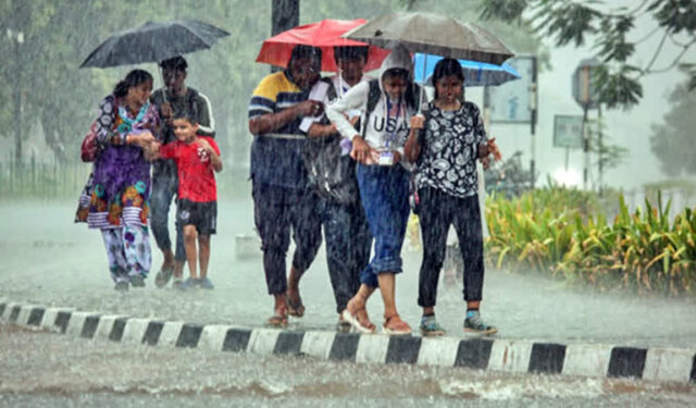 मुंबईसह ठाण्यात जोरदार वाऱ्यांसह पावसाचा अंदाज, वृक्ष रिक्षावर कोसळल्याने प्रवाशाचा मृत्यू