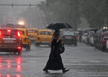 राज्यात उद्या रविवारी रेड अलर्ट .. मुसळधार पावसाची शक्यता व्यक्त