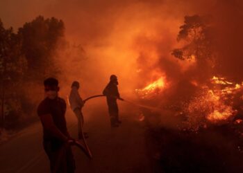 शिक्षक पतीला पत्नी मुख्याध्यापिकेने जंगलात जाऊन जाळले