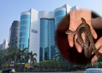 मुंबईतील बीकेसी परिसरात आढळली अजगराची बारा पिल्ले ..