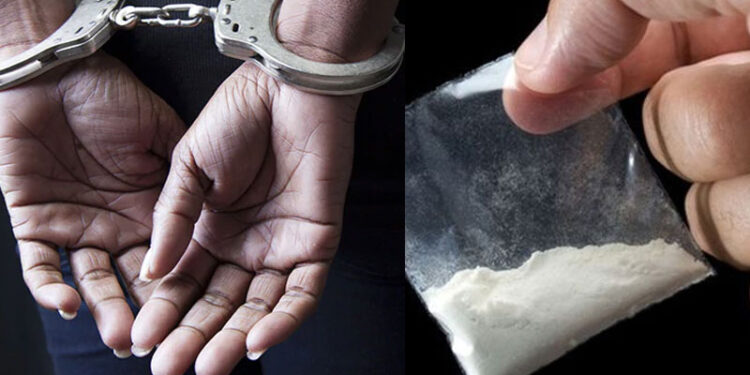 पालघर जिल्ह्यात पोलिसांचा छापा; २२ लाखांचे अमली पदार्थ जप्त