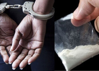 पालघर जिल्ह्यात पोलिसांचा छापा; २२ लाखांचे अमली पदार्थ जप्त