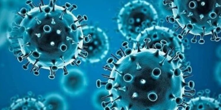 राज्यात करोना रुग्णसंखेत वाढ, ‘या’ देशांमध्ये प्रवास करणे टाळा, करोना तज्ज्ञांकडून सल्ला