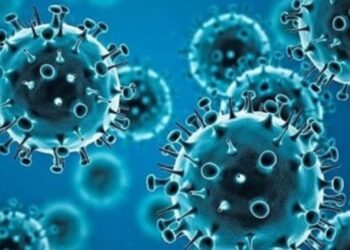 राज्यात करोना रुग्णसंखेत वाढ, ‘या’ देशांमध्ये प्रवास करणे टाळा, करोना तज्ज्ञांकडून सल्ला