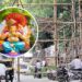 गणेशोत्सवात मंडप उभारण्यासाठी खड्डे खणल्यास मंडळांना मोठा आर्थिक फटका, दंडाच्या रक्कमेत सात पटीने वाढ