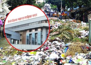 रस्त्यावर कचरा टाकणाऱ्यांवर महापालिकेची दंडात्मक कारवाई, कोटींचा दंड वसूल