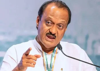 तुम्हाला लाजा वाटत नाहीत का .., उपमुख्यमंत्री अजित पवारांनी सुनावले राष्ट्रवादीच्या कार्यकर्त्याला