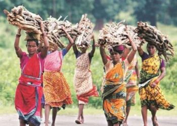 विकासाच्या नावाखाली अन्याय, स्थानिक आदिवासी समाजाचा आरोप