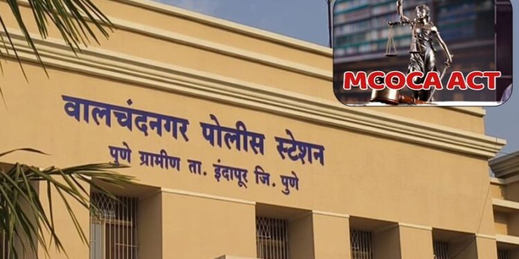 पुणे पोलीसांची कुख्यात गुन्हेगार राजू भाळे टोळीविरुद्ध ‘मकोका’ कारवाई