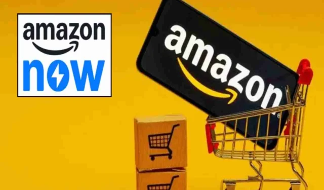 झेप्टो, ब्लिंकीट नंतर महाराष्ट्रात लवकरच Amazon Now, १० मिनिटांत वस्तू घरपोच