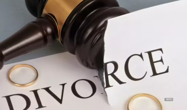 उच्च न्यायालयाचा ऐतिहासिक निर्णय; पत्नीला मासिक पोटगी देण्याचा निर्देश न्यायालयाने केला रद्द