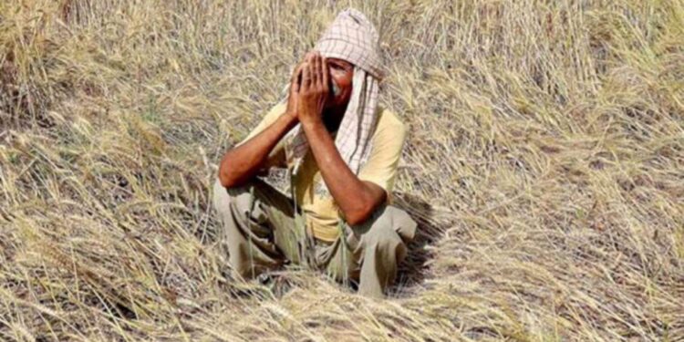 परभणीत हळहळ; विजेचा शॉक लागून शेतकऱ्याचा मृत्यू