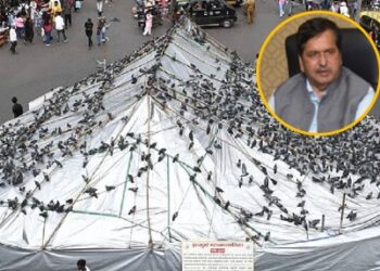 मुंबईतील दादरच्या कबुतरखान्याचे ‘या’ ठिकाणी स्थलांतर, मंत्री मंगलप्रभात लोढा यांच्या हस्ते उद्घाटन
