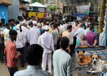 डुक्कर मालकांकडून २० कुत्री, तीन मांजरींवर विषप्रयोग; गुन्हा दाखल