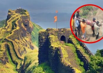 राजगड किल्ल्यावर मधमाश्यांचा हल्ला; बचावासाठी तरूणीने मारली ४० फूट खोल दरीत उडी