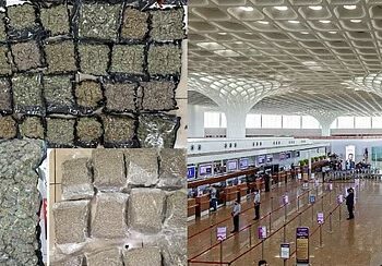 मुंबई विमानतळावर सीमाशुल्क विभागाची कारवाई, ३४.२० कोटींच्या गांजासह ५ आरोपी ताब्यात