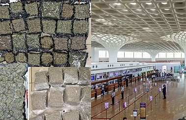 मुंबई विमानतळावर सीमाशुल्क विभागाची कारवाई, ३४.२० कोटींच्या गांजासह ५ आरोपी ताब्यात