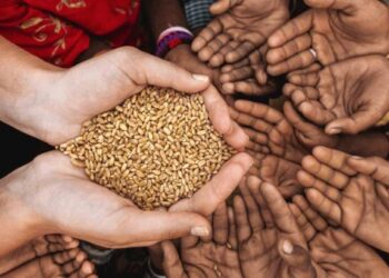 भुकेविरुद्धचा लढा आणि शाश्वत अन्नसुरक्षा : जागतिक अन्न दिनाचे सामाजिक भान