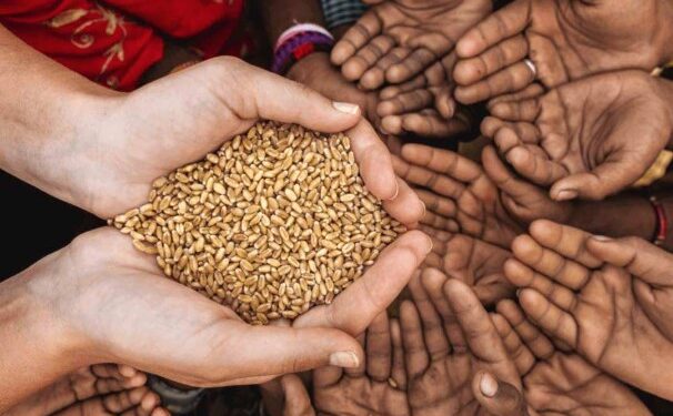 भुकेविरुद्धचा लढा आणि शाश्वत अन्नसुरक्षा : जागतिक अन्न दिनाचे सामाजिक भान