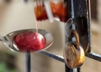 डॉक्टरांच्या प्रिस्क्रिप्शनशिवाय ‘कफ सिरप’ची विक्री केल्यास मेडिकलला टाळे, विक्रेत्यांवर FDAची कारवाई सुरू