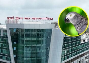 विरारमध्ये महानगरपालिका उभारणार ‘बर्ड पार्क’, शहरवासियांना पाहता येणार विविध प्रजातीचे पक्षी