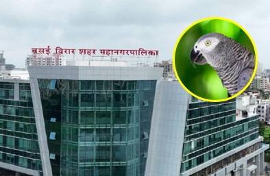 विरारमध्ये महानगरपालिका उभारणार ‘बर्ड पार्क’, शहरवासियांना पाहता येणार विविध प्रजातीचे पक्षी