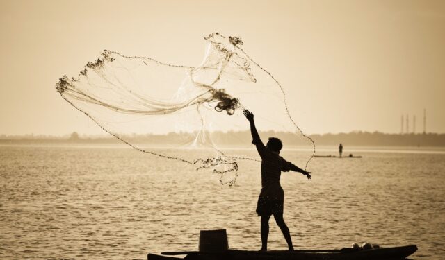 लहान आकारांच्या माशांच्या विक्रीस बंदी; विक्रेत्यांना ५० हजार ते ५ लाखांचा दंड