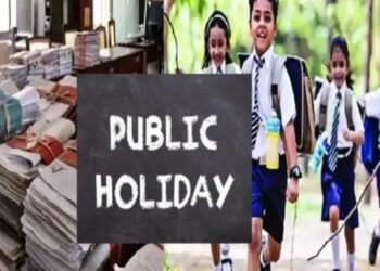 १४ नोव्हेंबरला शाळा-कॉलेजसह ऑफिसला सुट्टी जाहीर!