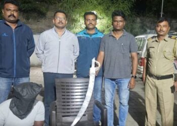 इंस्टाग्राम ट्रेंड: तलवारीने वाढदिवसाचा केक कापणाऱ्या तरुणाला अटक