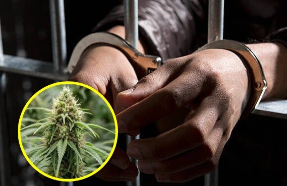 आंतरराष्ट्रीय ड्रग्ज रॅकेटचा पर्दाफाश; ५ कोटींच्या ड्रग्जसह एका प्रवाश्याला अटक