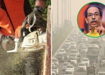 “आरेतील झाडं कापल्यामुळेच प्रदूषण वाढलंय” – उद्धव ठाकरे