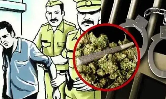 पुण्यात चिकन सेंटरच्या नावाखाली गांजाची विक्री; एका आरोपीला अटक