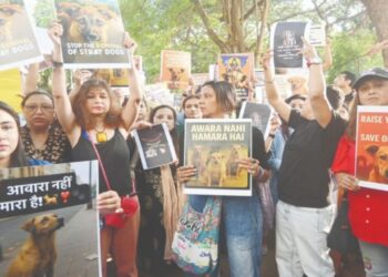 भटक्या श्वानांसाठी मुलुंडमध्ये निवारे; विरोध करत युवक काँग्रेस रस्त्यावर!
