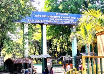 राजीव गांधी प्राणीसंग्रहालयात लवकरच दाखल होणार झेब्रा, सिंहमाकड, जंगली कुत्रे,..