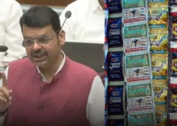 गुटखा विक्री करणाऱ्यांवर मकोका लागू करणार, मुख्यमंत्री फडणवीसांची घोषणा