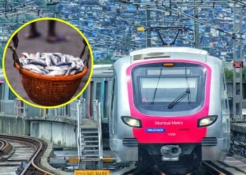 सावधान! मेट्रोतून ‘या’ वस्तू नेण्यावर बंदी