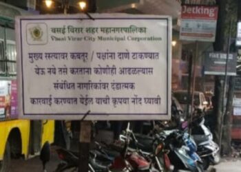 वसई-विरारमध्ये सार्वजनिक ठिकाणी पक्ष्यांना दाणे टाकण्यास महापालिकेकडून मनाई