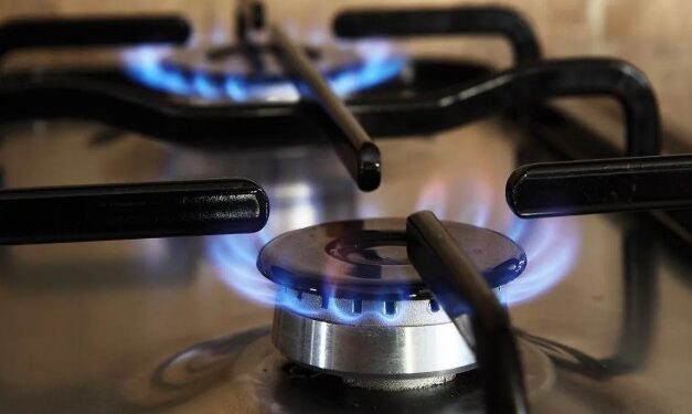 नवीन वर्षात नागपूर होणार ‘सिलेंडरमुक्त’! थेट पाइपलाइनद्वारे घरांमध्ये गॅस पुरवठा