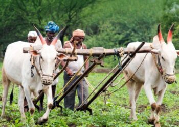भारतीय शेतकरी जीवनातील सामाजिक संकटांची हकीकत – डॉ. राजेंद्र बगाटे
