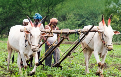भारतीय शेतकरी जीवनातील सामाजिक संकटांची हकीकत – डॉ. राजेंद्र बगाटे